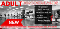 Adult Beginner Basic Ballet Class