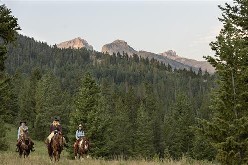 Gallery Image 1._Horseback_Riding.jpg