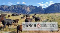 Mason & Morse Ranch Company - Ted Harvey Associate Broker