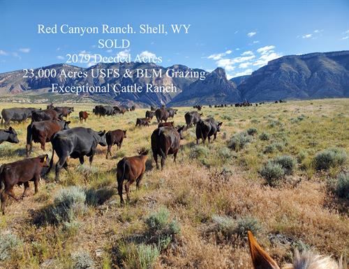 Red Canyon Ranch. Shell, WY Sold