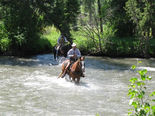 This could be a part of your horseback riding experience