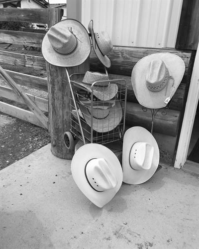 Gallery Image cowboy_hats.jpg