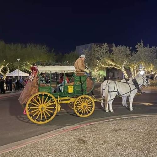 Stagecoach event with mule team