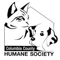 CatZooks Cat Adoptathon