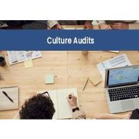 IL Chamber: What's a Culture Audit and Why Does Your Business Need One?