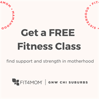 FIT4MOM Greater Northwest Chicago Suburbs - Bloomingdale