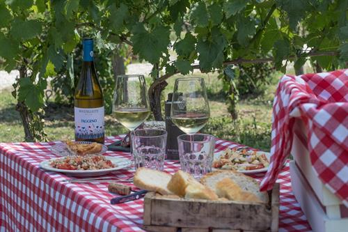 "Indulge in the finer things in life: wine, gourmet bites, and the tranquility of a winery picnic. Cheers to good company and unforgettable moments amidst the vineyards. 