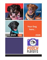 BTC Yurik Photography - Streamwood