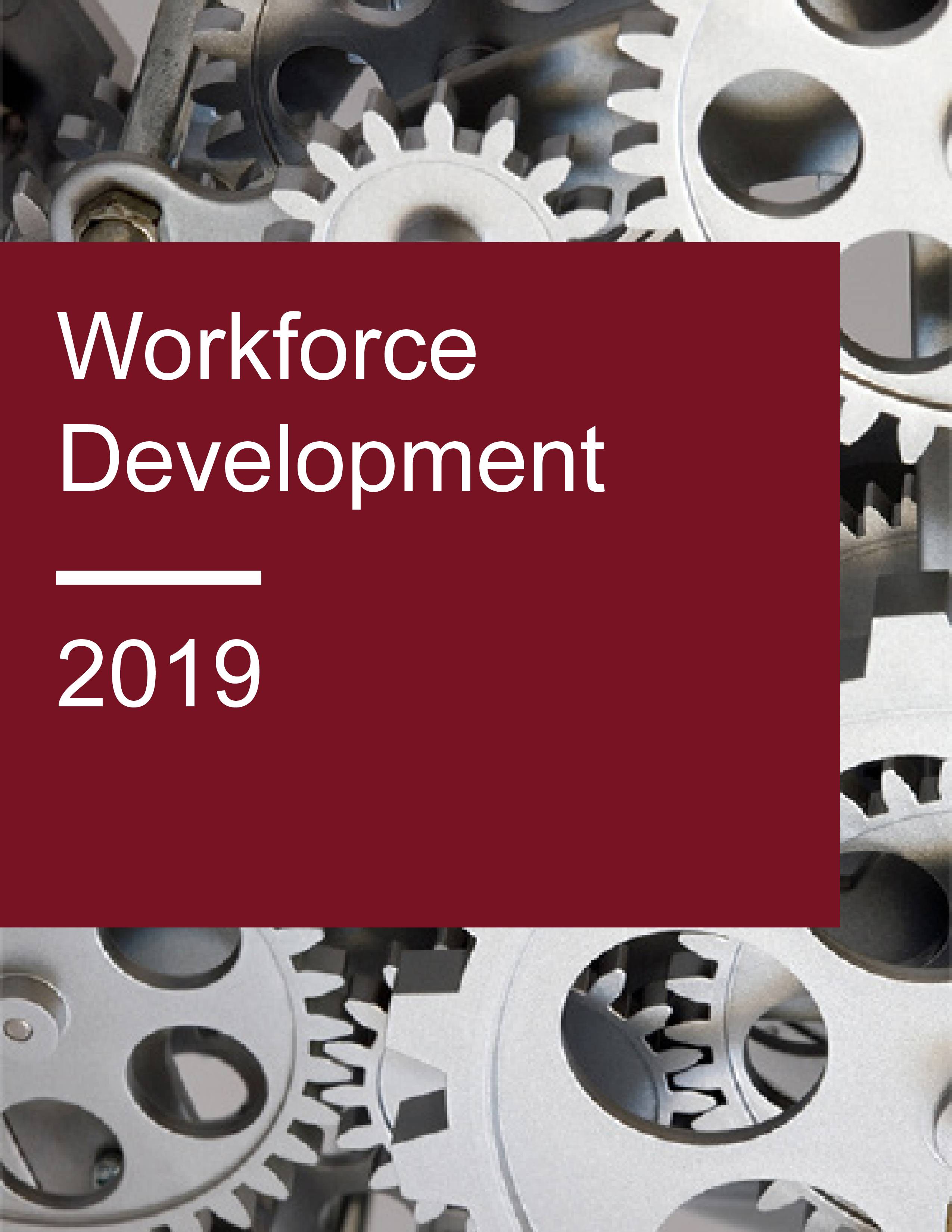 Image for Workforce Initiatives Completed in 2019