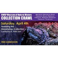 11th Annual Collection Crawl