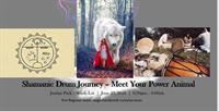 SHAMANIC JOURNEY IN THE PARK - MEET YOUR POWER ANIMAL