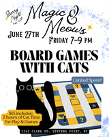 One Year of Magic & 100 Meows | Starry Night Cat Cafe
