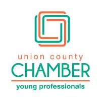 Young Professionals Virtual Conference 2020 - How to Series