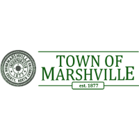 Town of Marshville Juneteenth Celebration 