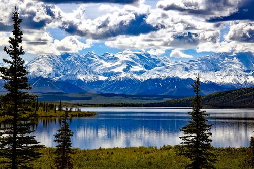Denali National Park Denali National Park