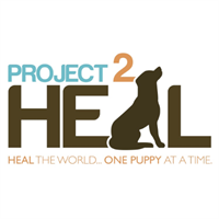 Waxhaw-Based Nonprofit Project 2 Heal Is Proud to Announce Future Service Puppy Office Visit Program!