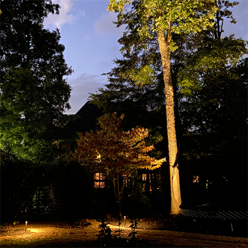 Landscape Lighting Encapsulates Backyard