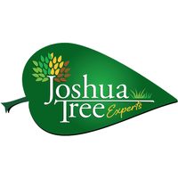 Joshua Tree Experts