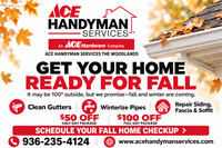 Ace Handyman Services - Magnolia