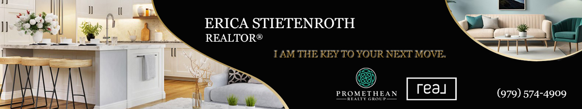 Promethean Realty Group - Erica Stietenroth, REALTOR