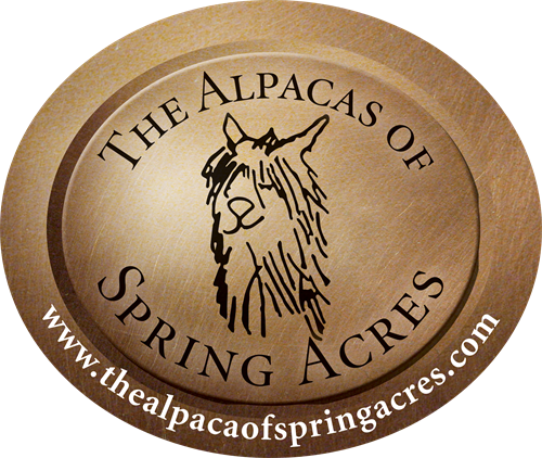 Gallery Image 18.02-alpacas-of-spring-acres_logo_color_wurl.png