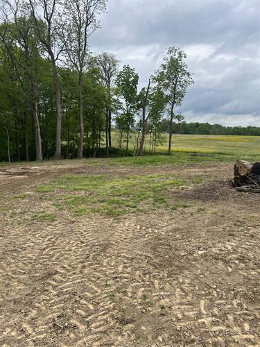 Wooded area clean out and final grader. 