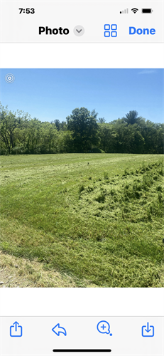 Field mowing and clean up. 