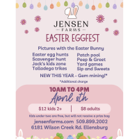 Easter Eggfest at Jensen Farms
