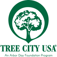 Celebrate 40 Years Of Tree City USA