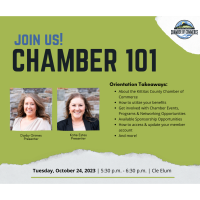 Chamber 101