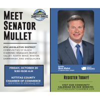 Meet Senator Mark Mullet