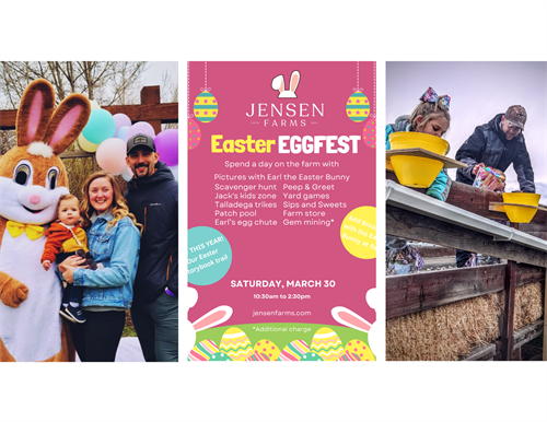 Gallery Image Eggfest_Easter_trio_(2).png