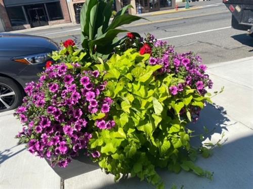Cle Elum In Bloom sidewalk planters