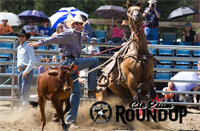 NFR Final Watch Party hosted by Cle Elum Roundup Association & Dru Bru