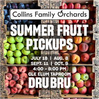 Summer Fruit Pickups