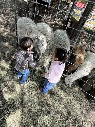 Gallery Image IMG_4999.jpeg