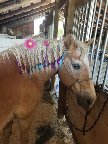 Gallery Image IMG_6999.jpeg