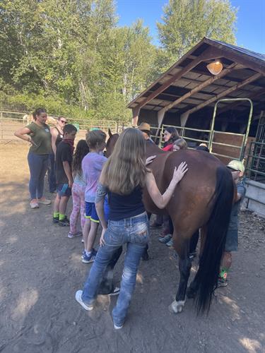 Gallery Image IMG_9179.jpeg