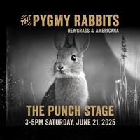 Live Music at Punch! The "Pygmy Rabbits"