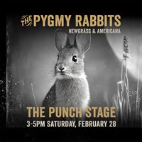 Live Music at Punch! "The Pygmy Rabbits"