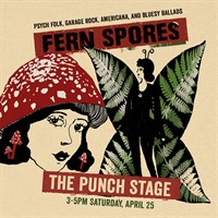 Live Music at Punch! "Fern Spores"