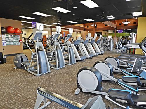 Cardio area