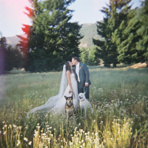 Gallery Image Film-9_(1).jpg