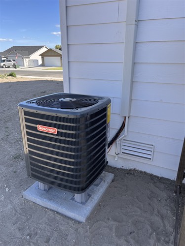 Gallery Image 2025-06-06_16.56.36.jpeg