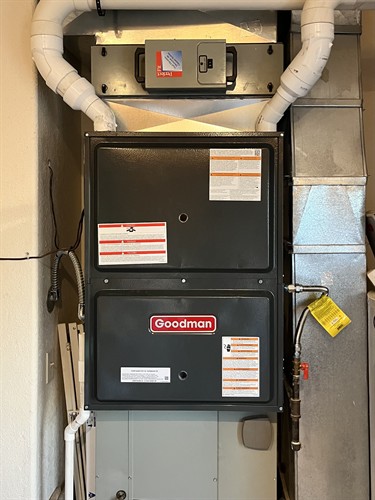 Gallery Image IMG_3726.jpeg