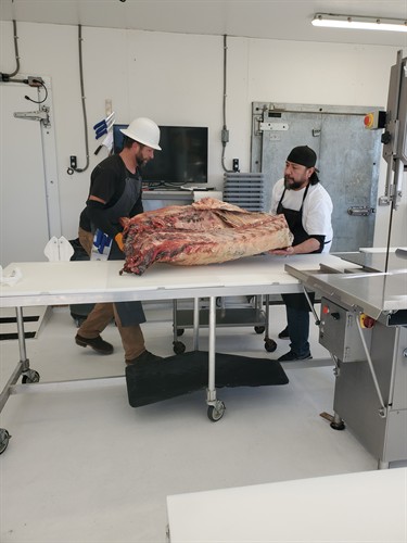 Bradley and Jose moving carcass to cutting table.