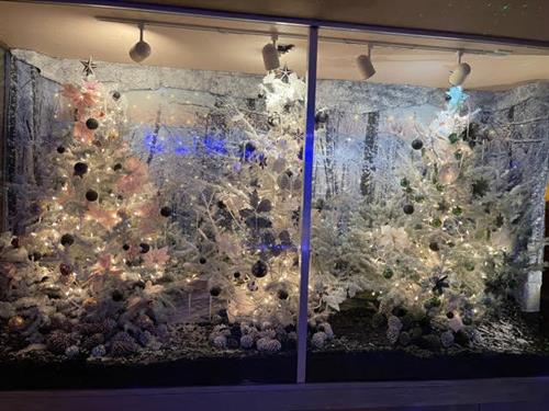Christmas Festival of Trees Window Display by Rene Sepulveda