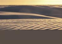 High School Students - Paid Art and Science Focused Program Internship at White Sands National Park