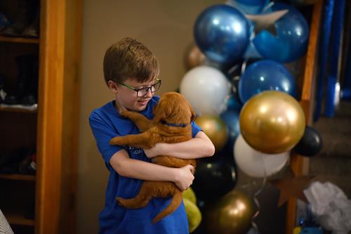 Aven's wish to have a Golden Retriever Puppy