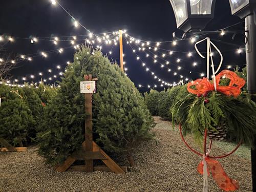 Gallery Image 3582388282587170940.JPG